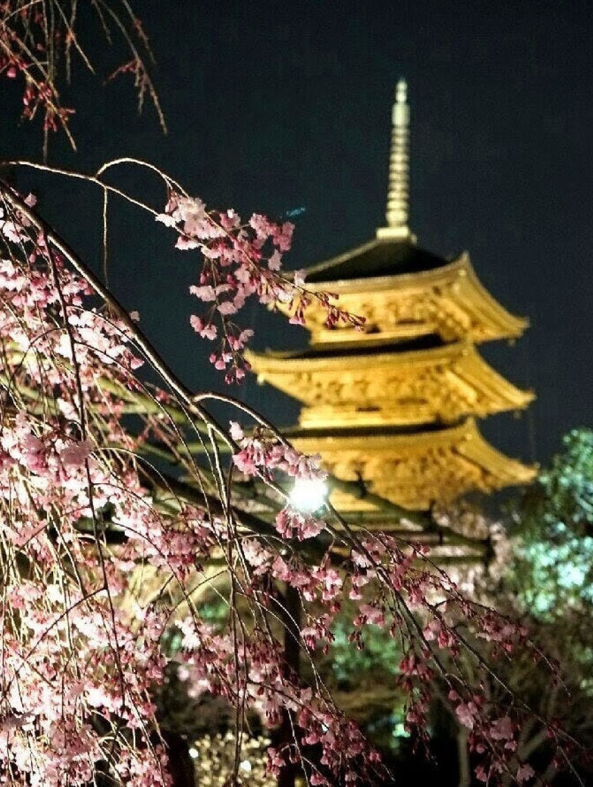 週末は何をしていますか？